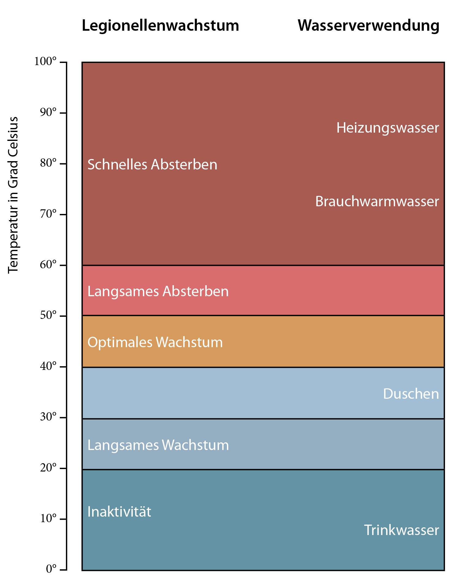 Legionellenwachstum