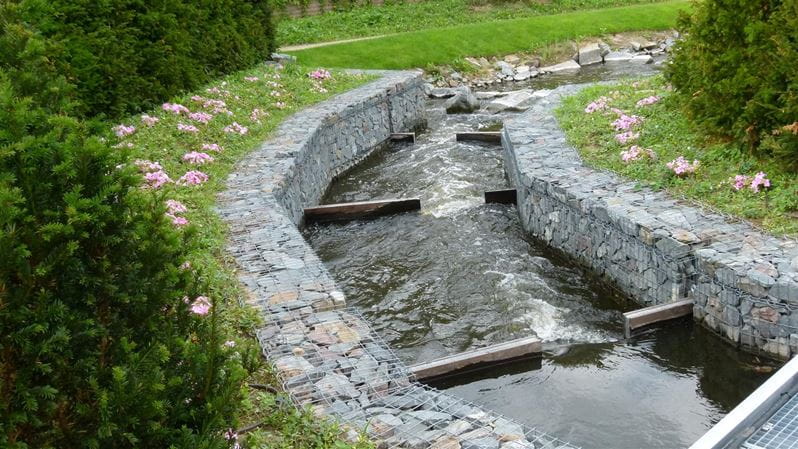 Fish Pass Muehlrather Mill