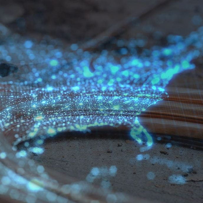 LCRR Predictive Modeling