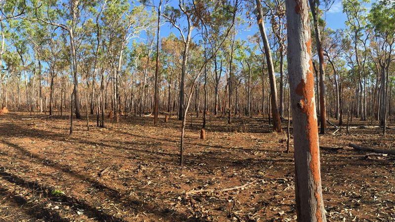 Environmental Impact Statement for the Bauxite Hills Project